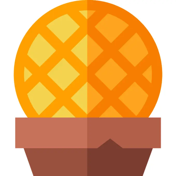 Stroopwafel
