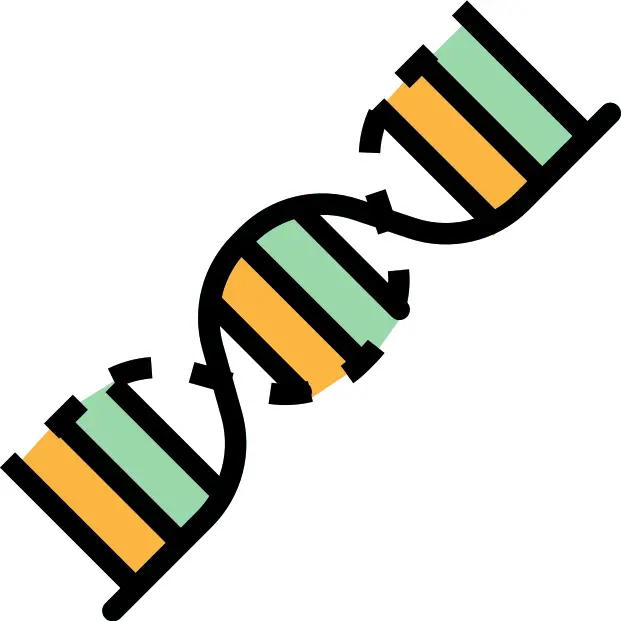 Dna