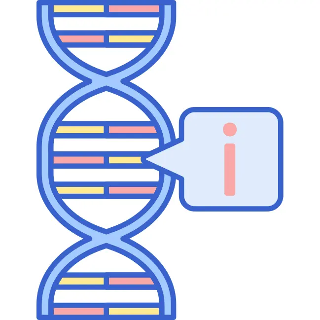 Dna