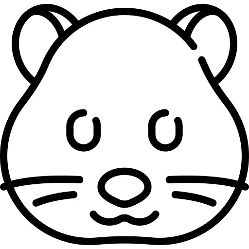 仓鼠