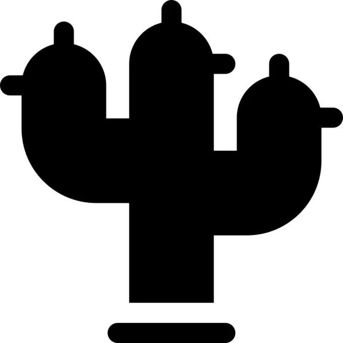 Cactus