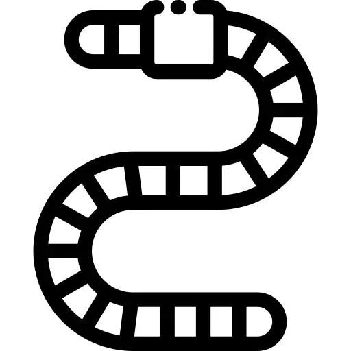 虫