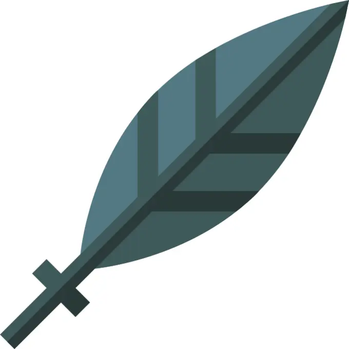 Feather