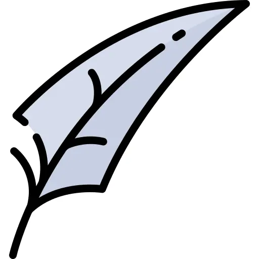 Feather