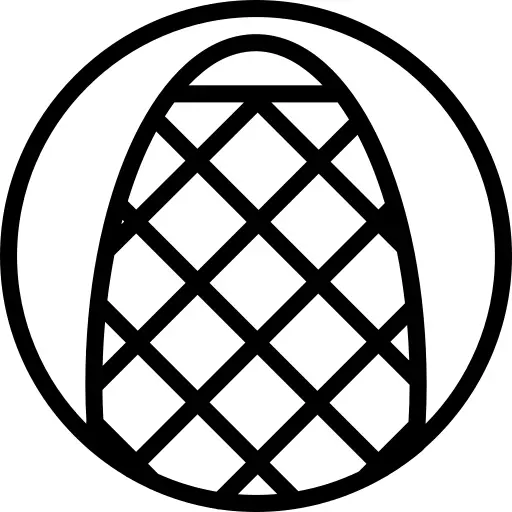 黄瓜之一种
