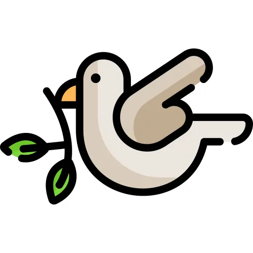 鸽子