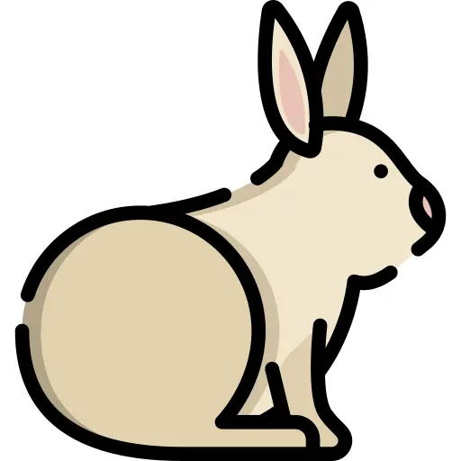 兔子