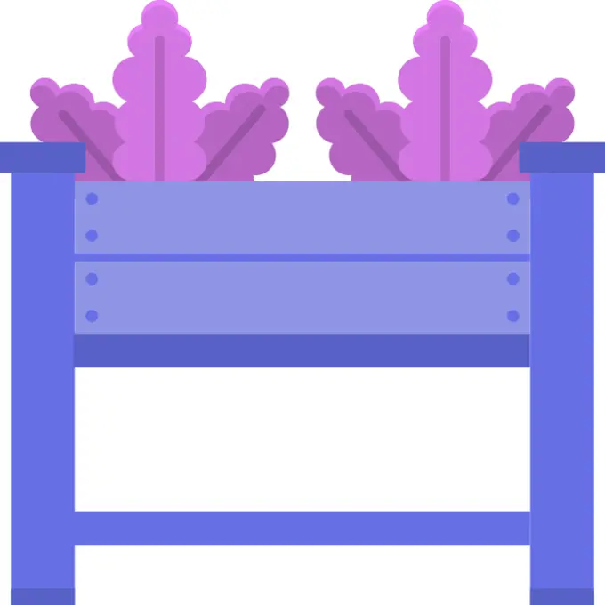 花盆
