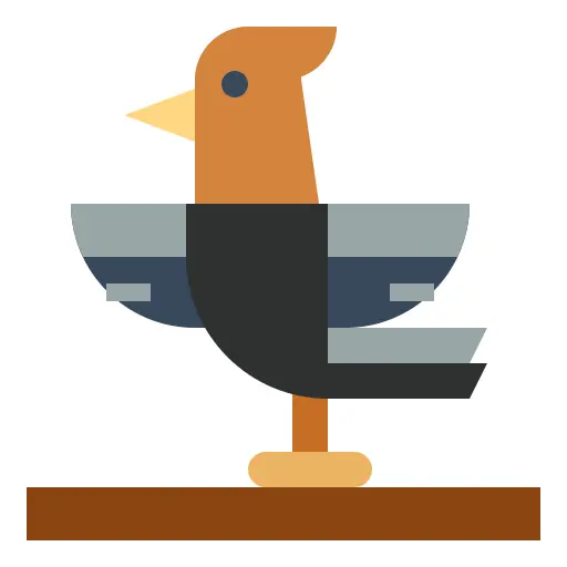 Bird