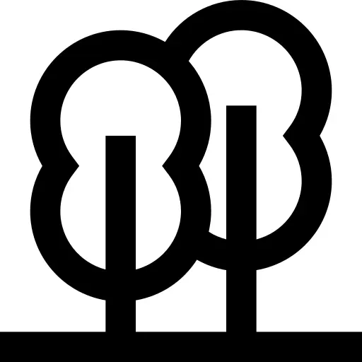 森林