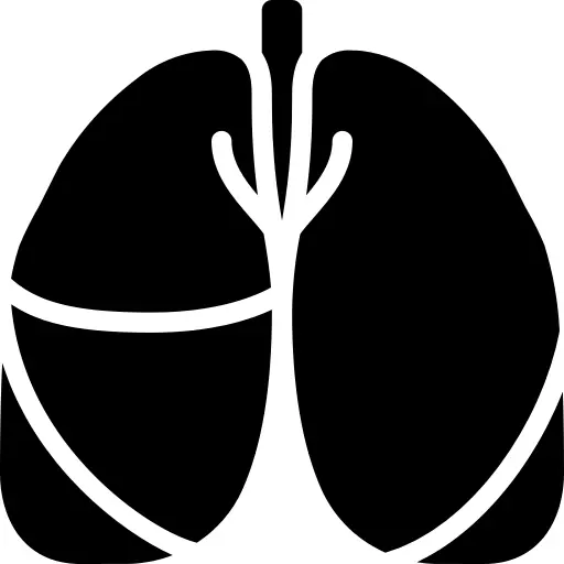 Lungs
