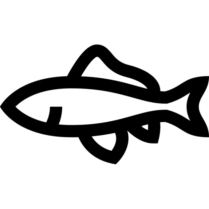 Goldfish