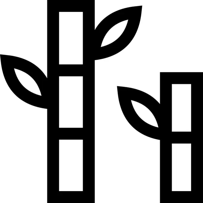 Bamboo