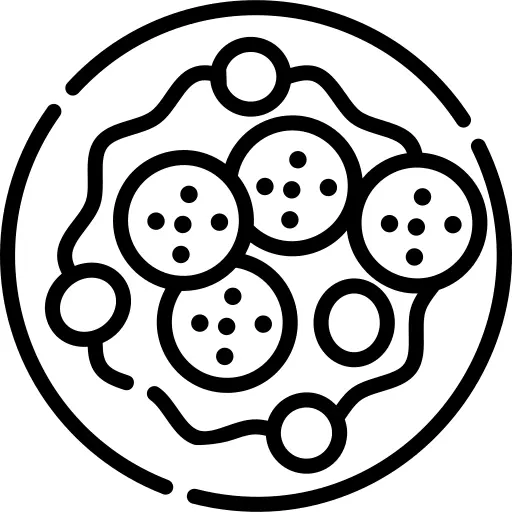 沙拉