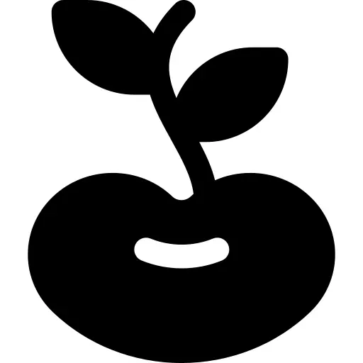 豆