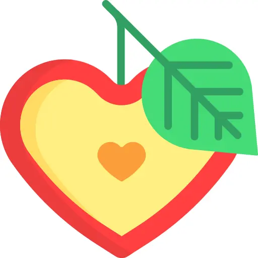Fruit