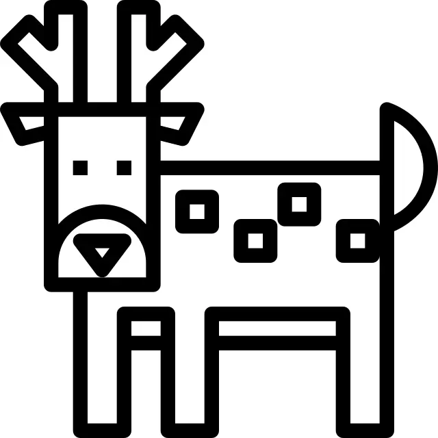 Deer