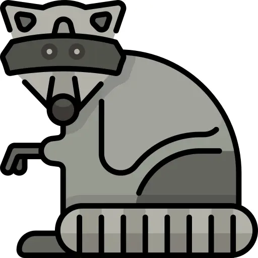 Racoon
