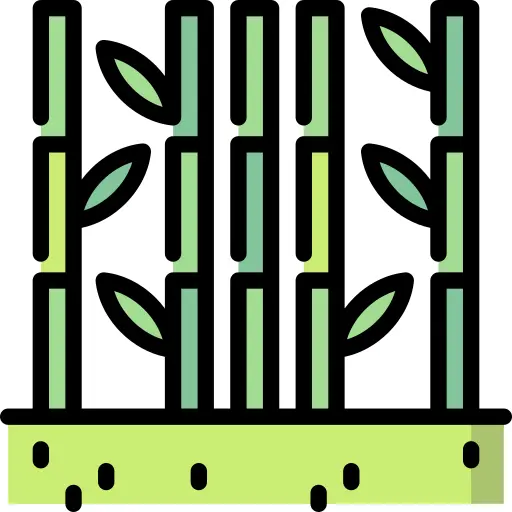 Bamboo