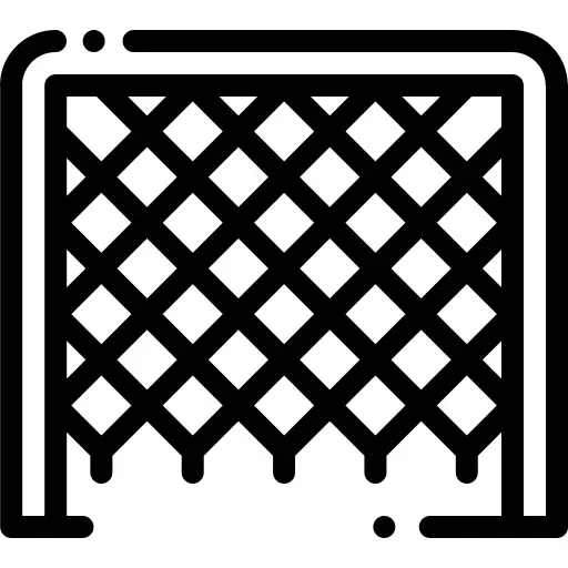 净