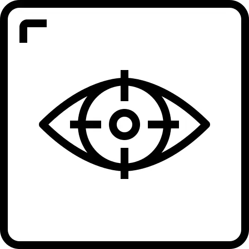 Eye