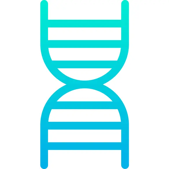 Dna