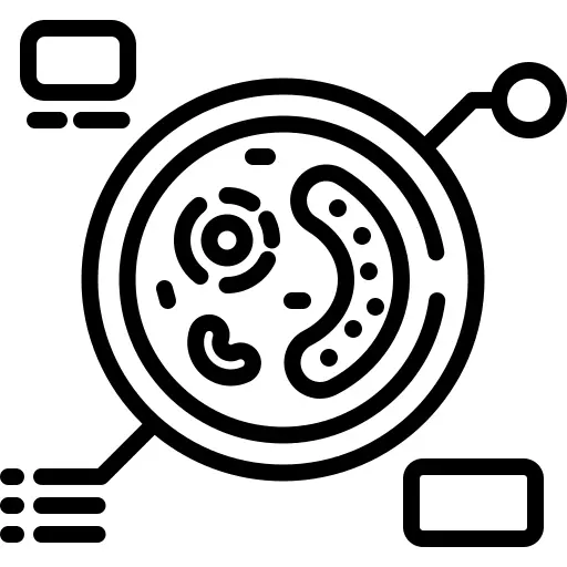 Petri dish