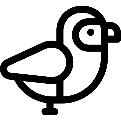 鸟