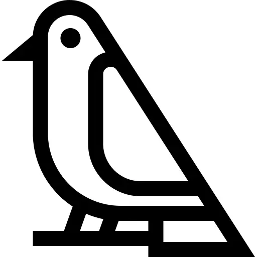 鸟