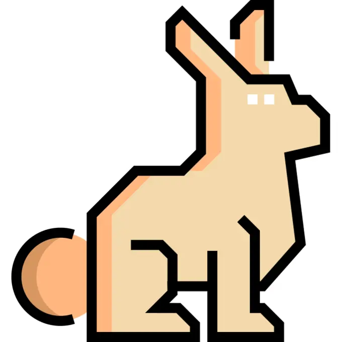 兔子