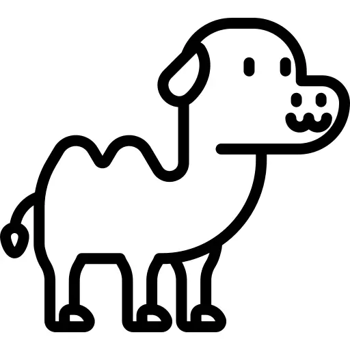 骆驼