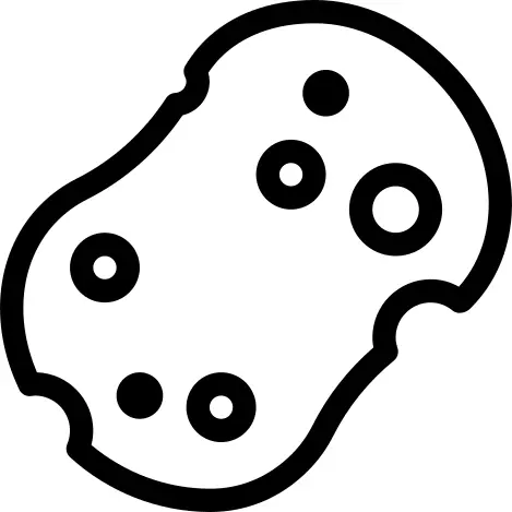 Sponge