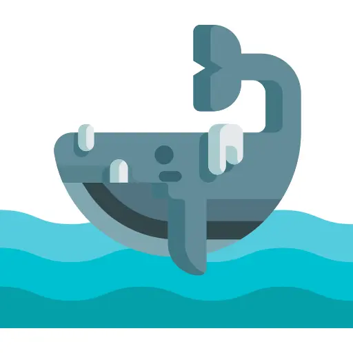 Whale
