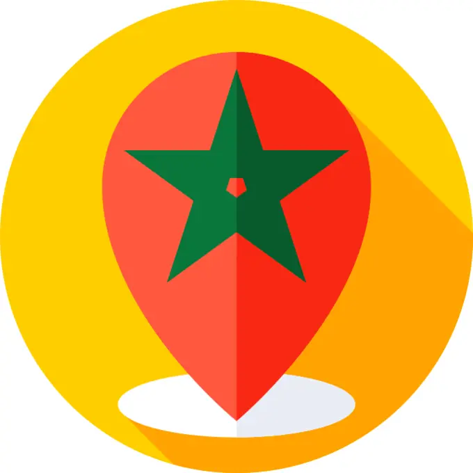 Pin