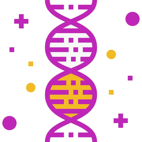 Dna