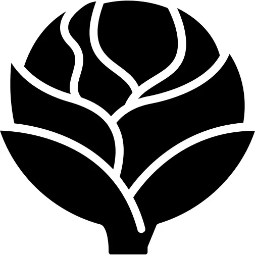 Artichoke