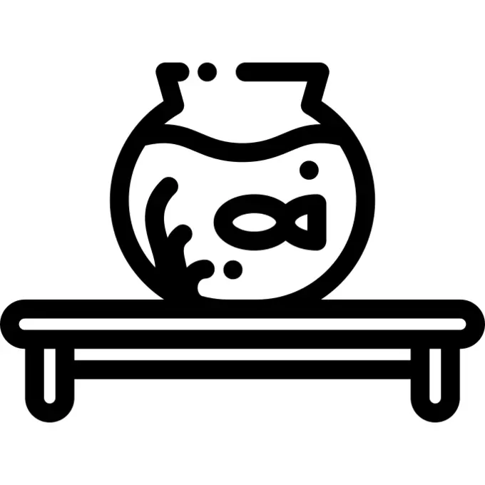 鱼缸