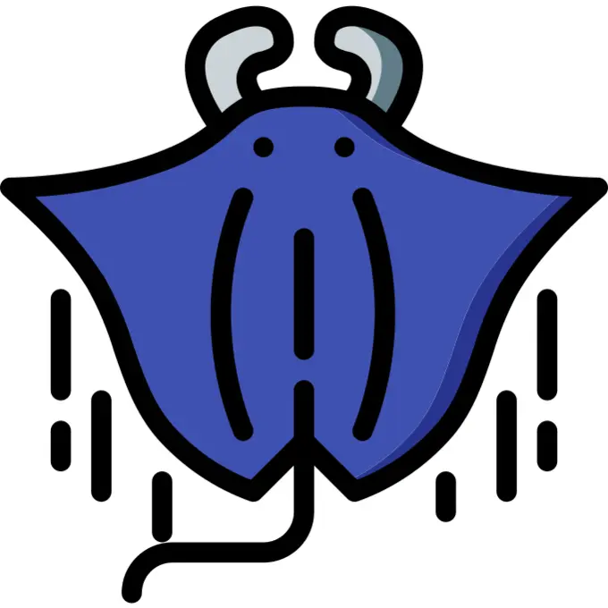 Manta ray