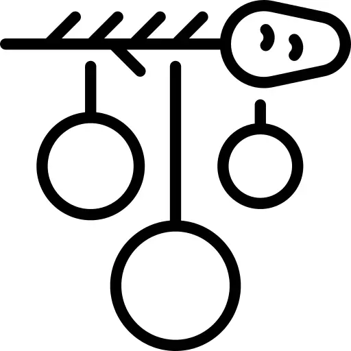 Branch