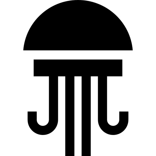 Jellyfish
