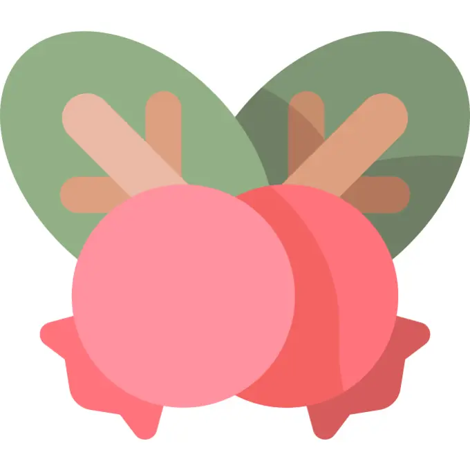 Berries
