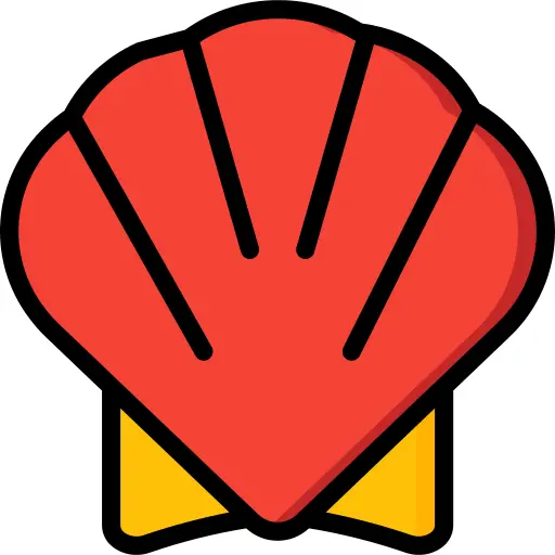 Shell