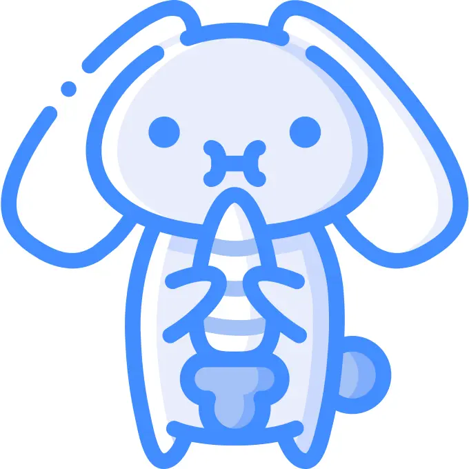 Bunny
