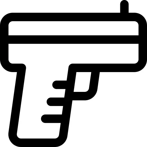 Gun
