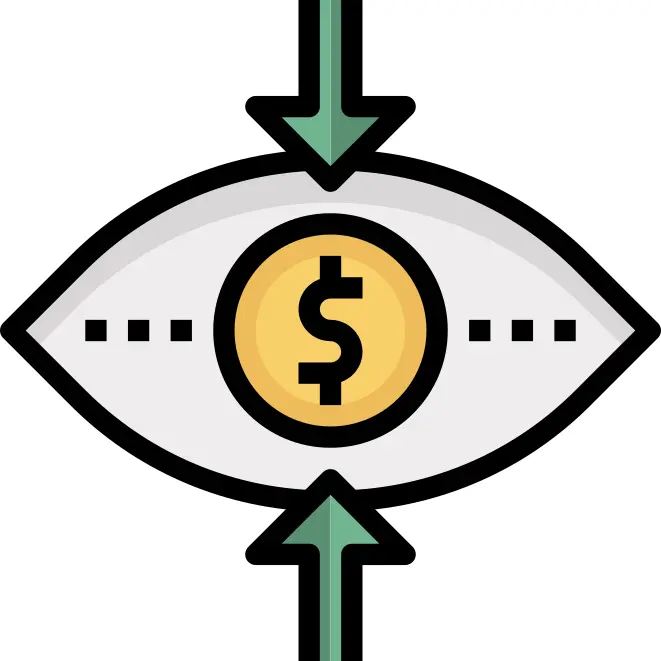 Vision