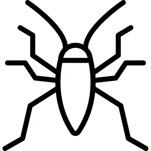 Bedbug