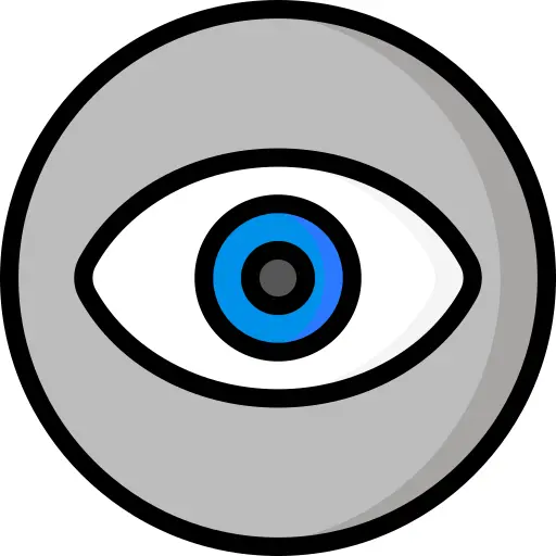 Vision
