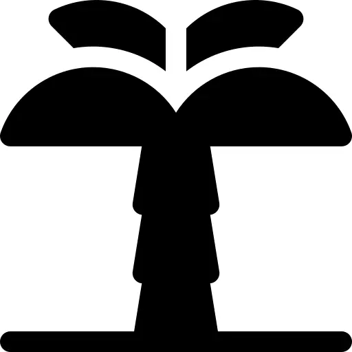 Palm tree