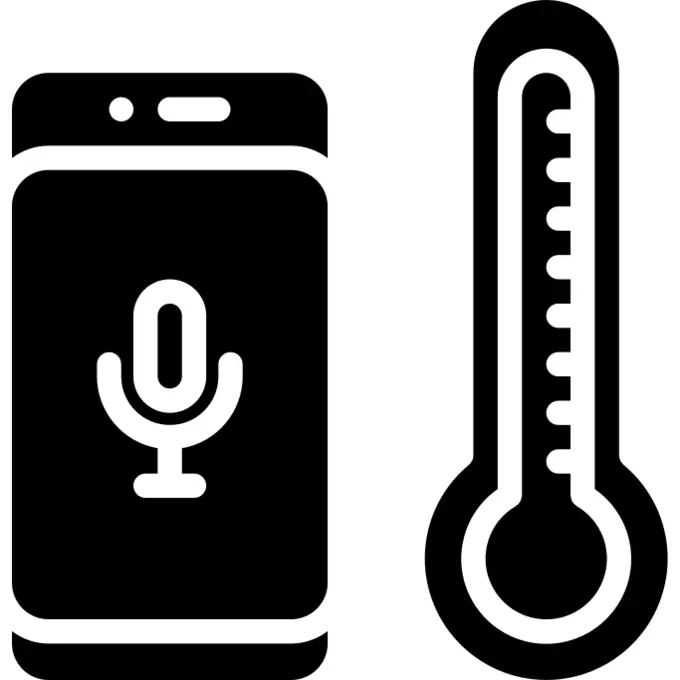Voice assistant