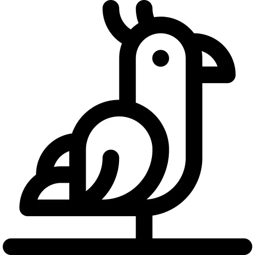 Parrot